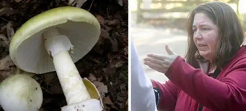 Poisoning Mushroom Case Woman Erin Patterson
